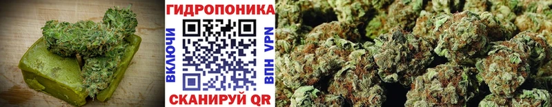 Cannafood марихуана  Купить  Завитинск 