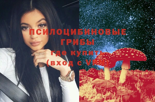 PSILOCYBIN Кинешма