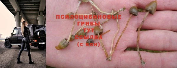 ALPHA PVP Кодинск