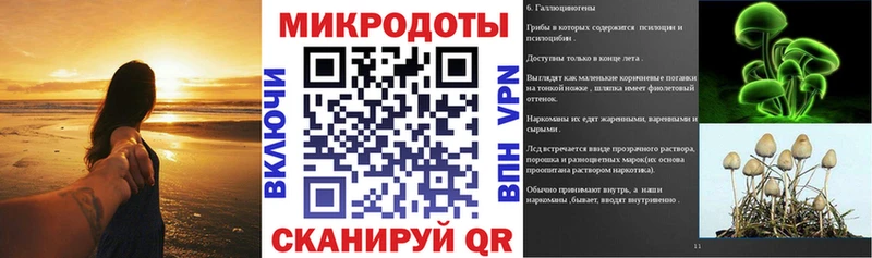Купить где  Завитинск  Галлюциногенные грибы GOLDEN TEACHER 